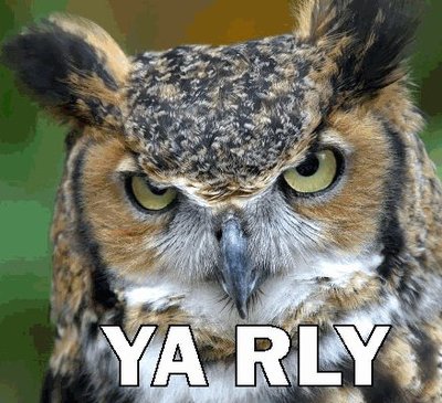 ya_rly-owl.jpg