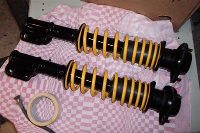 shiny struts