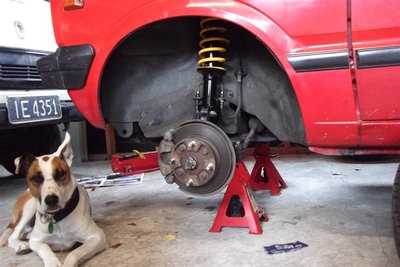 struts installed